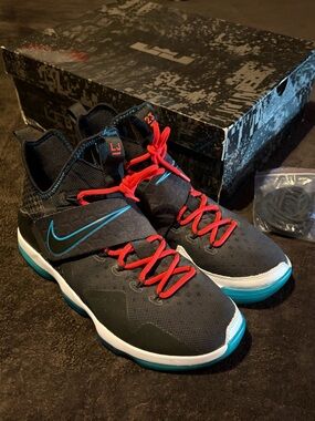 Nike Lebron 14 Red Carpet